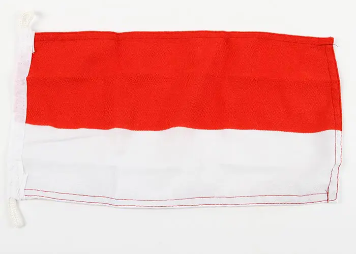 Gästflagga Polen