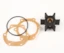 Impeller Johnson 09-810B-1