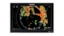 Raymarine Axiom 7tum Plotter