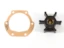 Impeller Volvo Penta 22222936