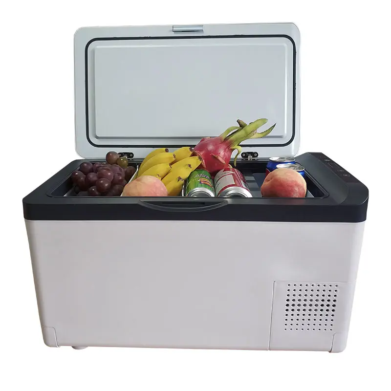 Frysbox Portabel