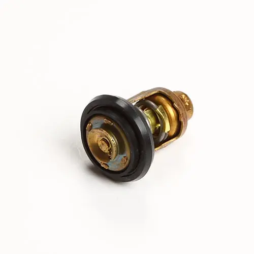 Product Image for Termostat Yanmar (74°)