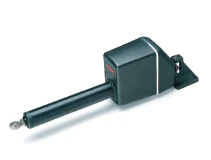 Raymarine linjär drivenhet typ 1