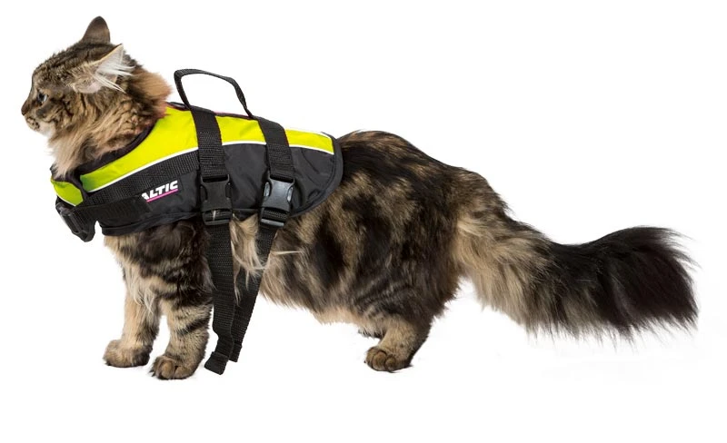 Baltic Kattväst Maja Gul L 7-10kg